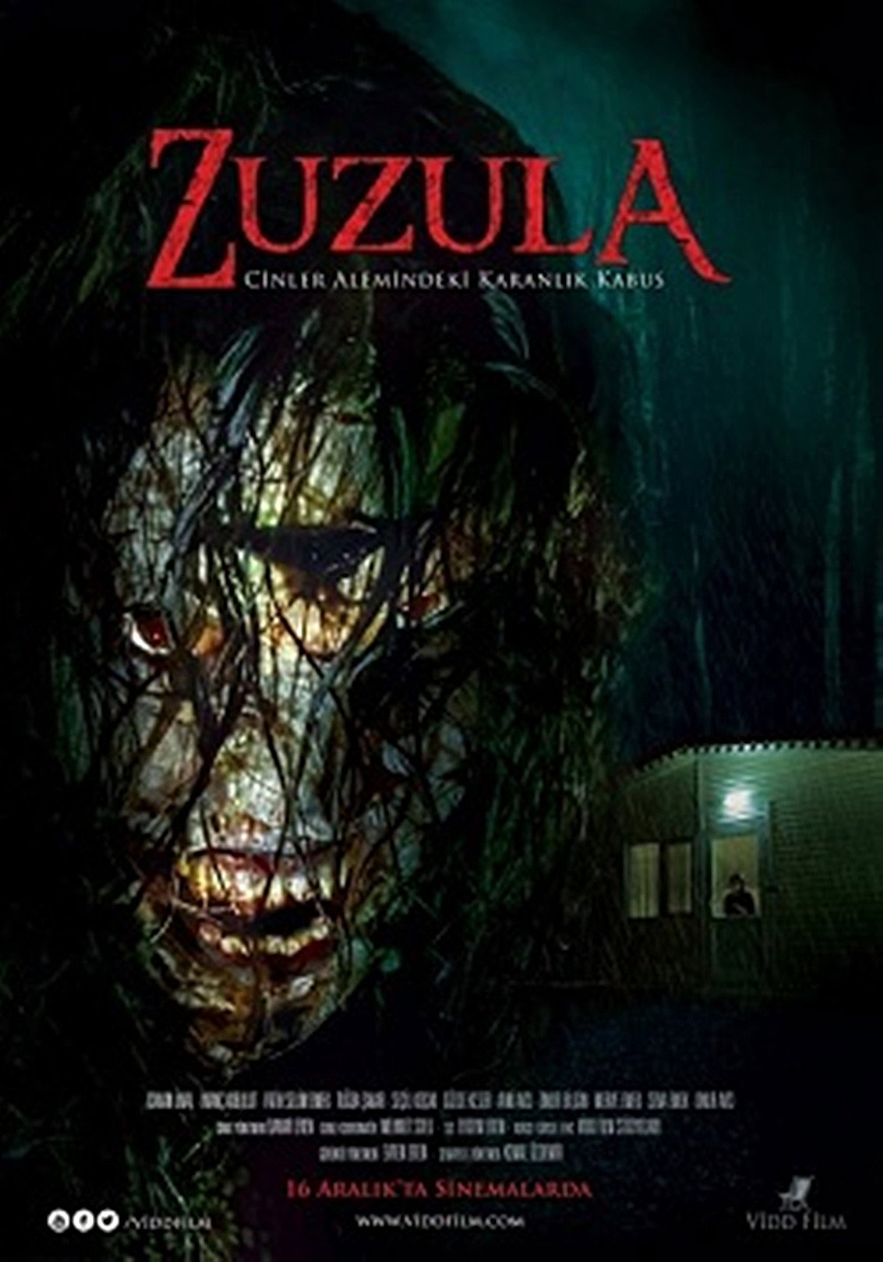 Zuzula Backdrop