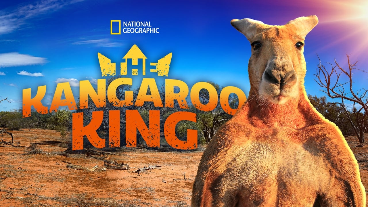 The Kangaroo King background