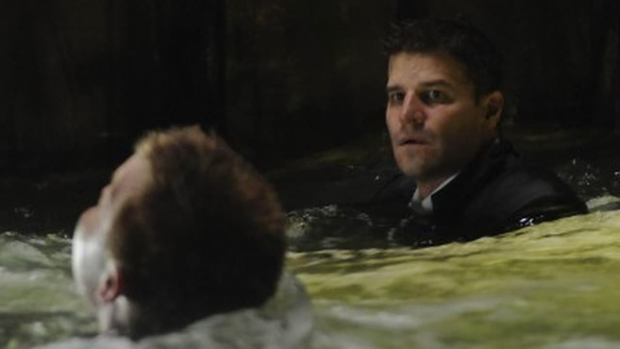 Bones - Season 4 Episode 14 : The Hero In the Hold