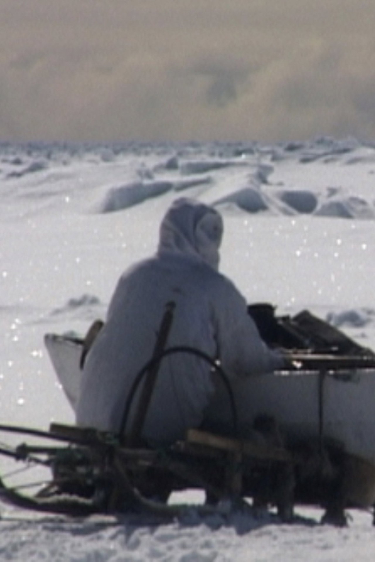 Seal Hunt filmaffisch