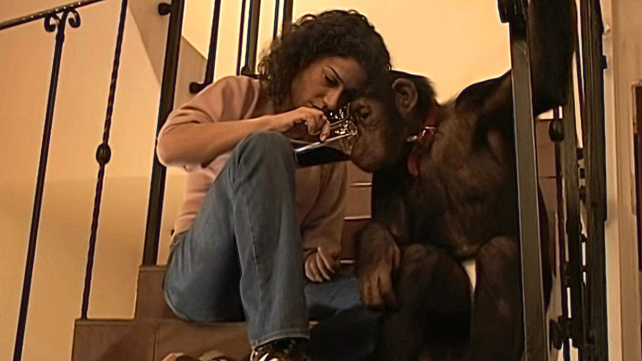 Monkey Business — Épisode 11