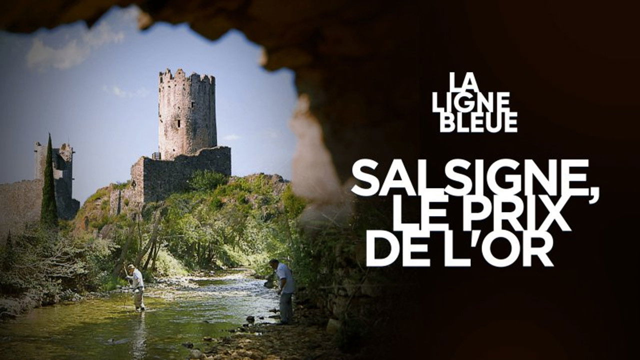 La Ligne Bleue — Salsigne, le prix de l'or