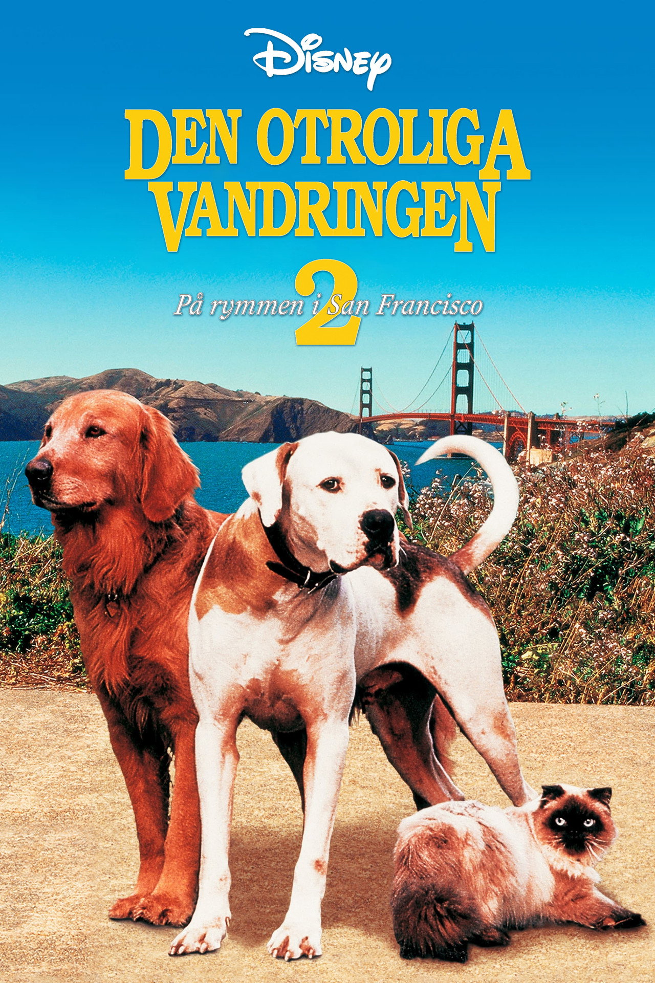 Den otroliga vandringen II: På rymmen i San Francisco filmaffisch