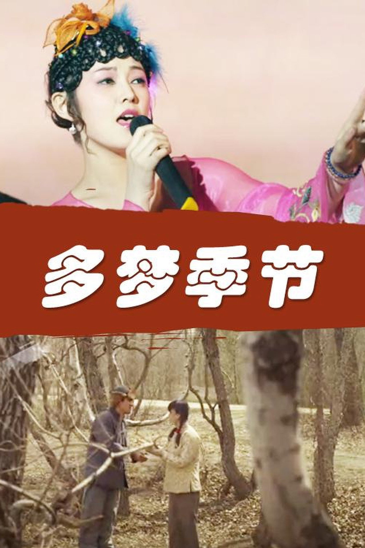 多梦季节 filmaffisch