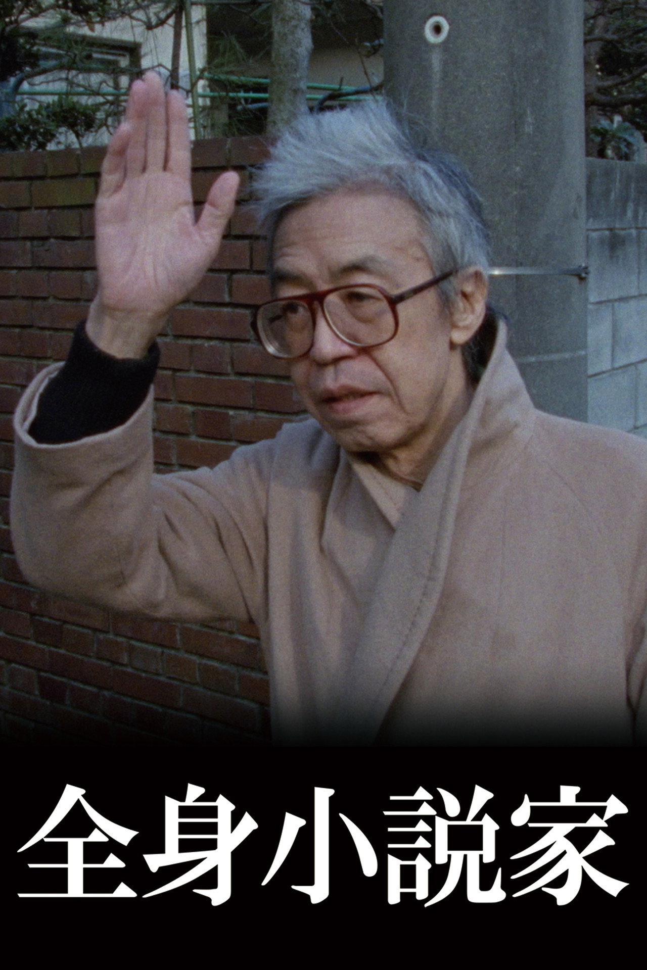 全身小説家 filmaffisch