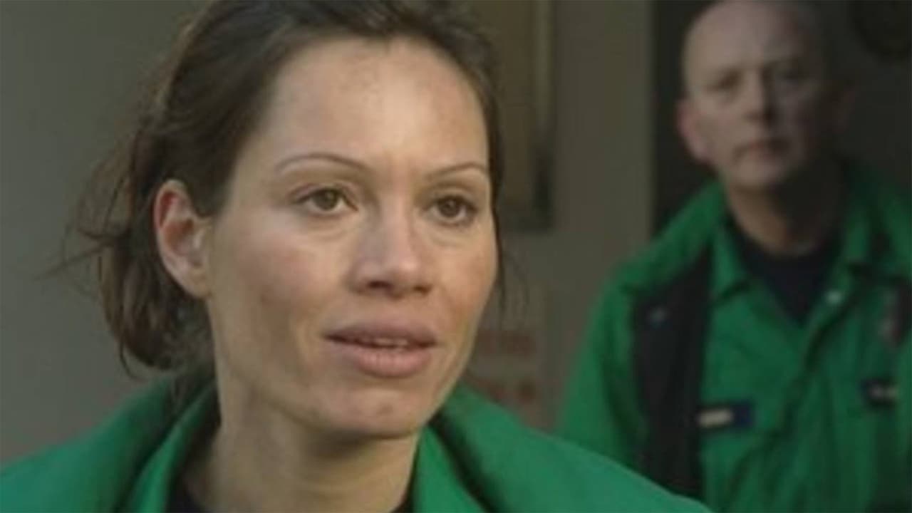 Casualty - Season 15 Episode 32 : Heroes and Villains