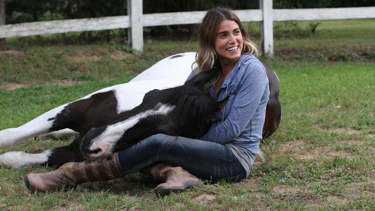 A Sunday Horse Backdrop Image