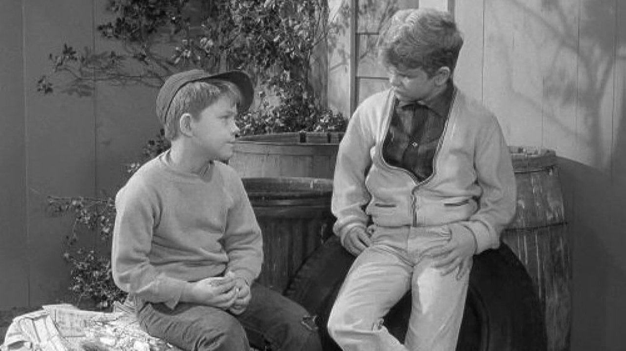 The Andy Griffith Show - Season 3 Episode 21 : Opie and the Spoiled Kid