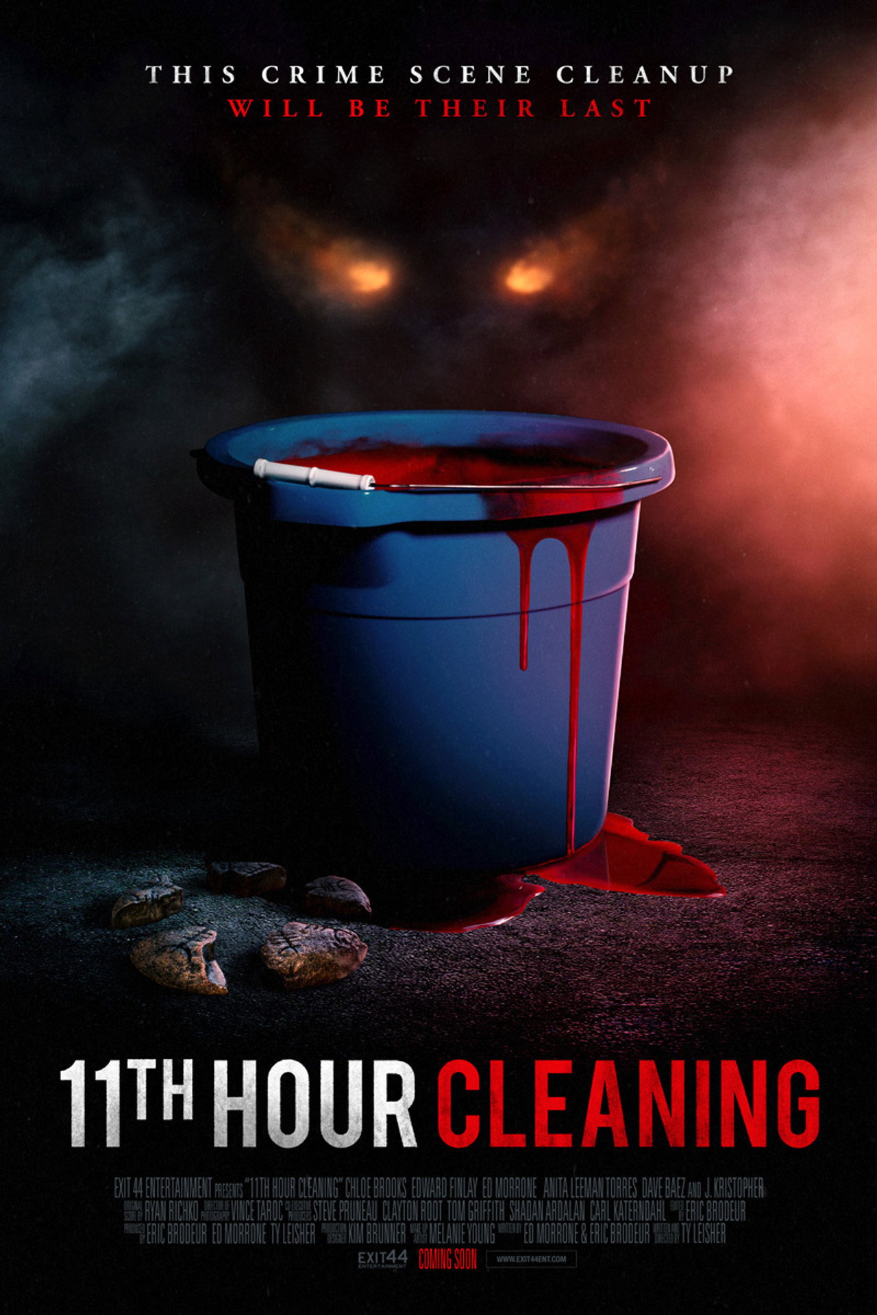 11th Hour Cleaning – plakát 4