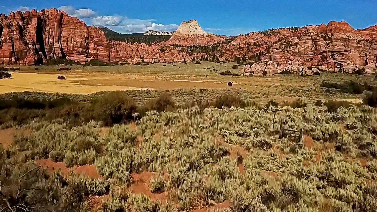 PARK'D — Épisode 2