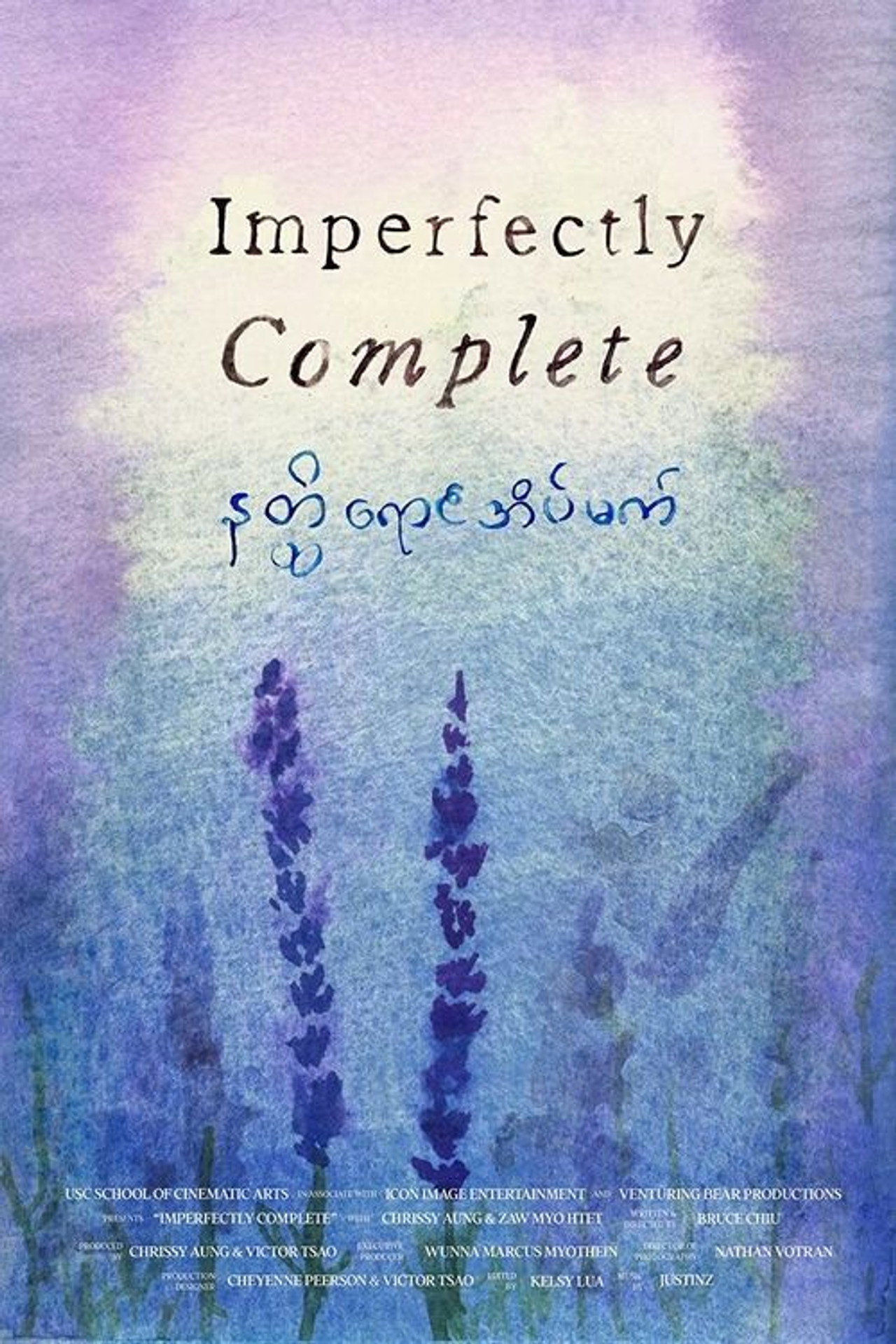 Imperfectly Complete filmaffisch