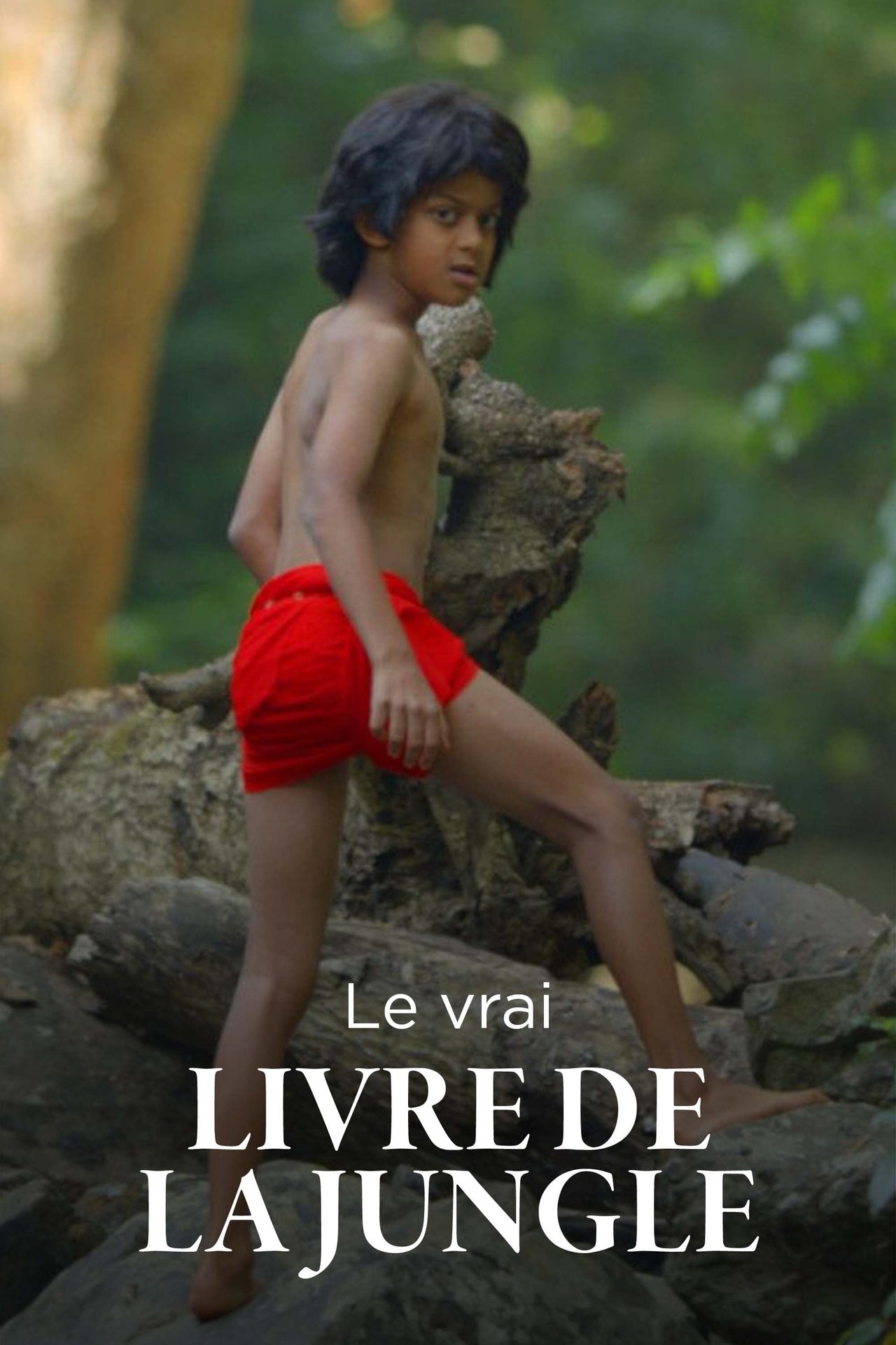 Le Vrai Livre de la jungle poster