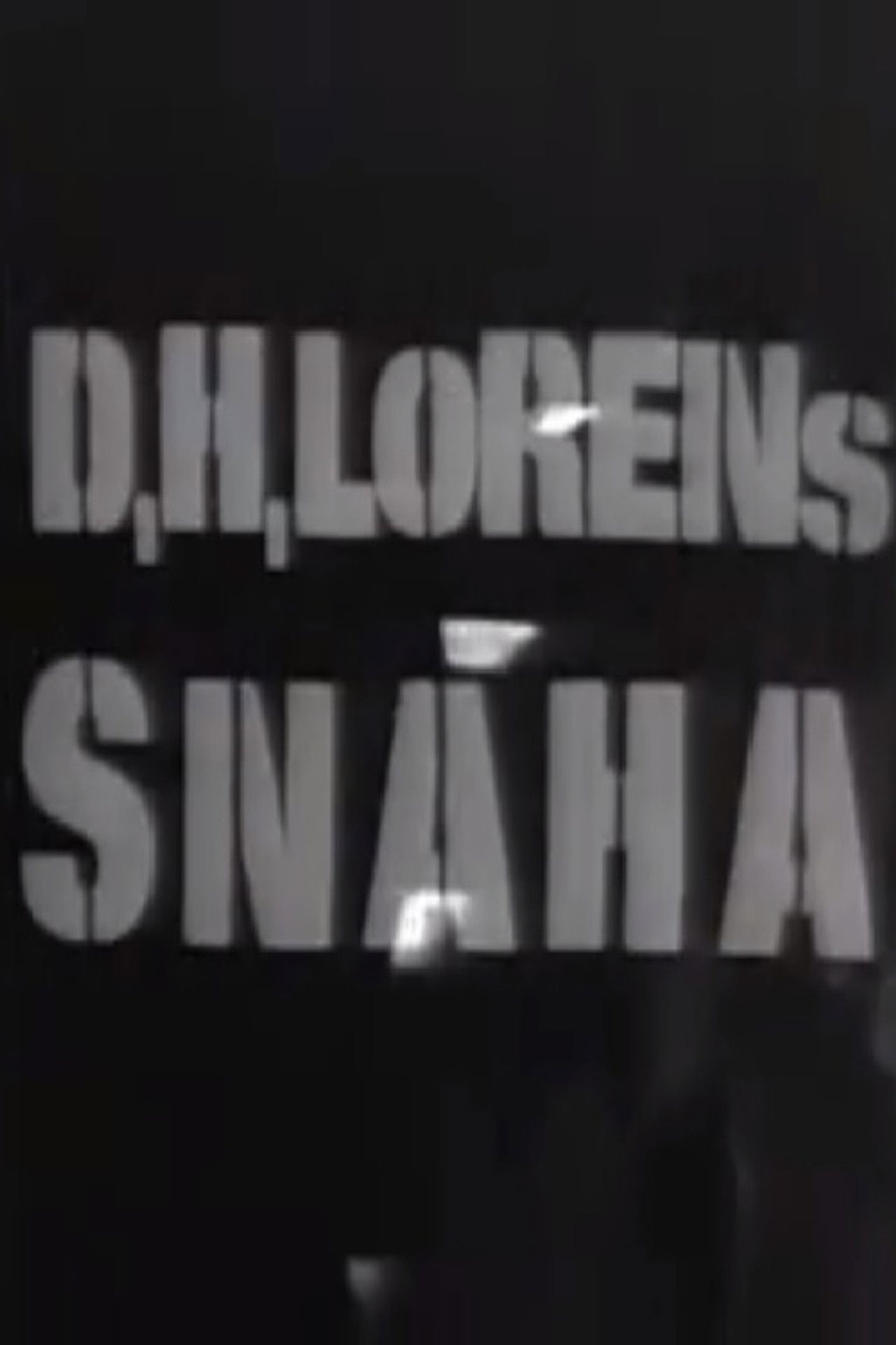 The Daughter-in-Law Backdrop