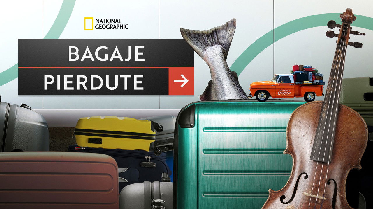 Inside Airport Lost & Found backdrop