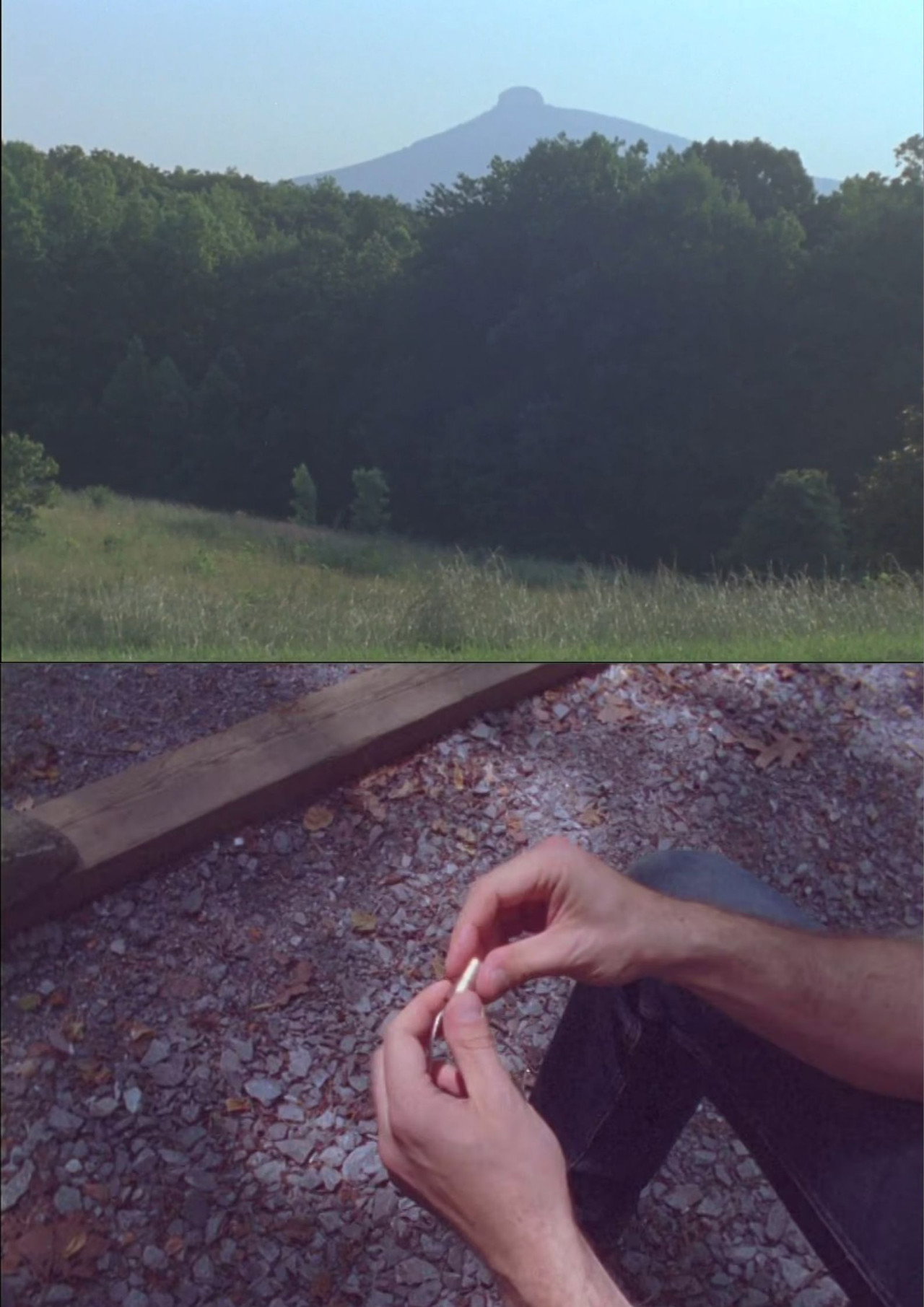 Photuris filmaffisch