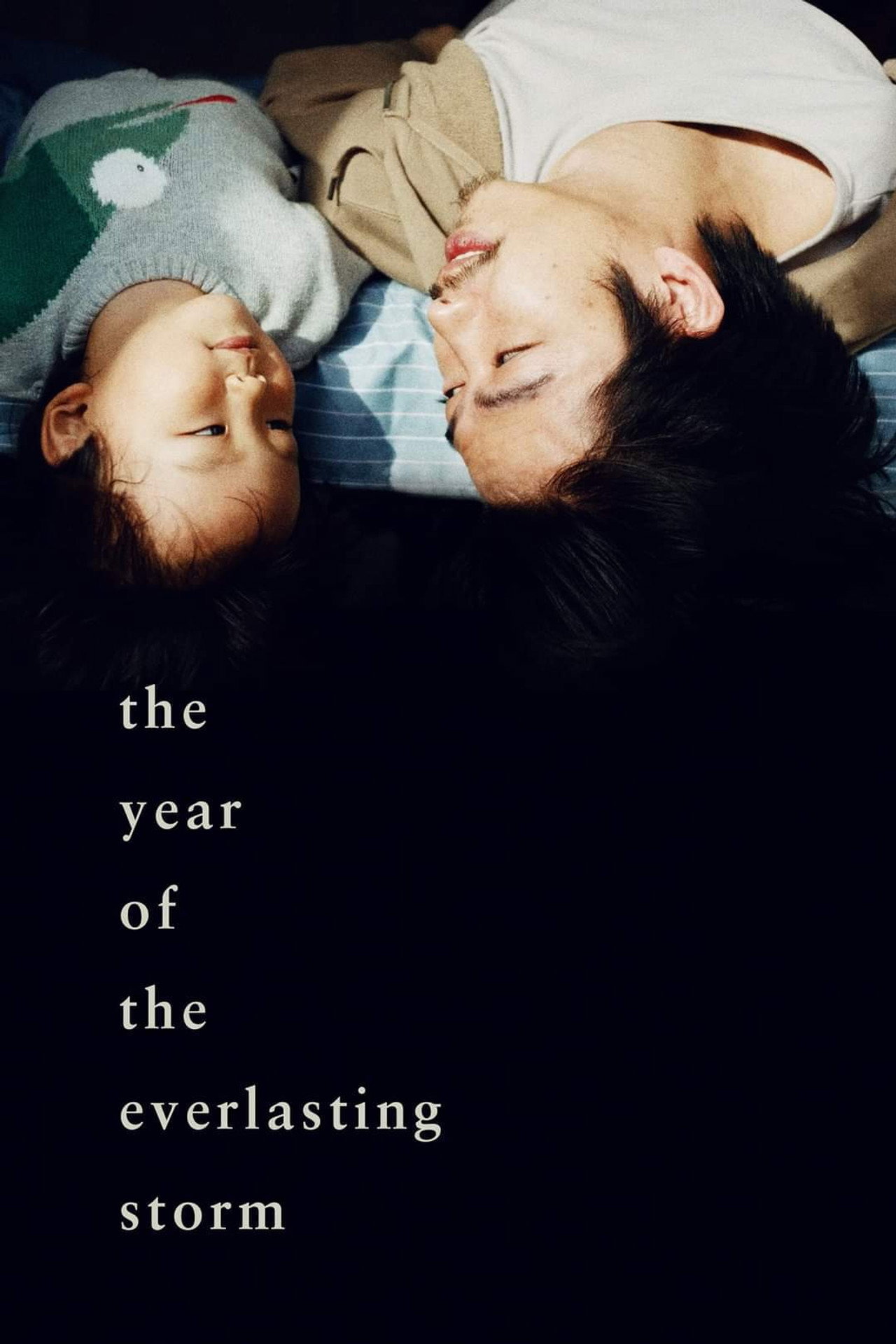 The Year of the Everlasting Storm – plakát 5