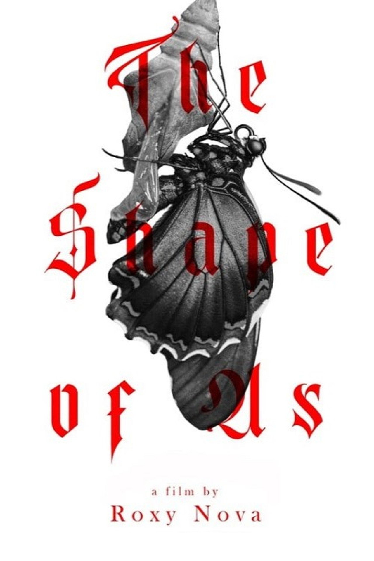 The shape of Us