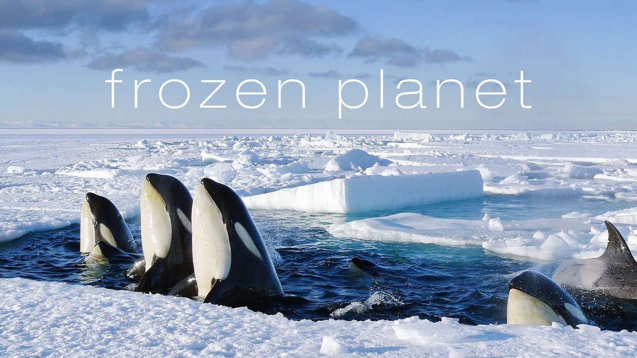 Frozen Planet background