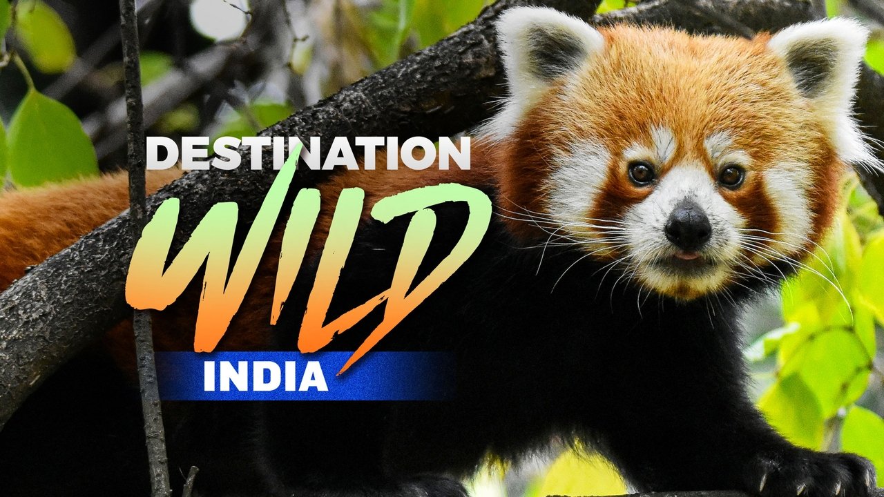 Destination Wild: India