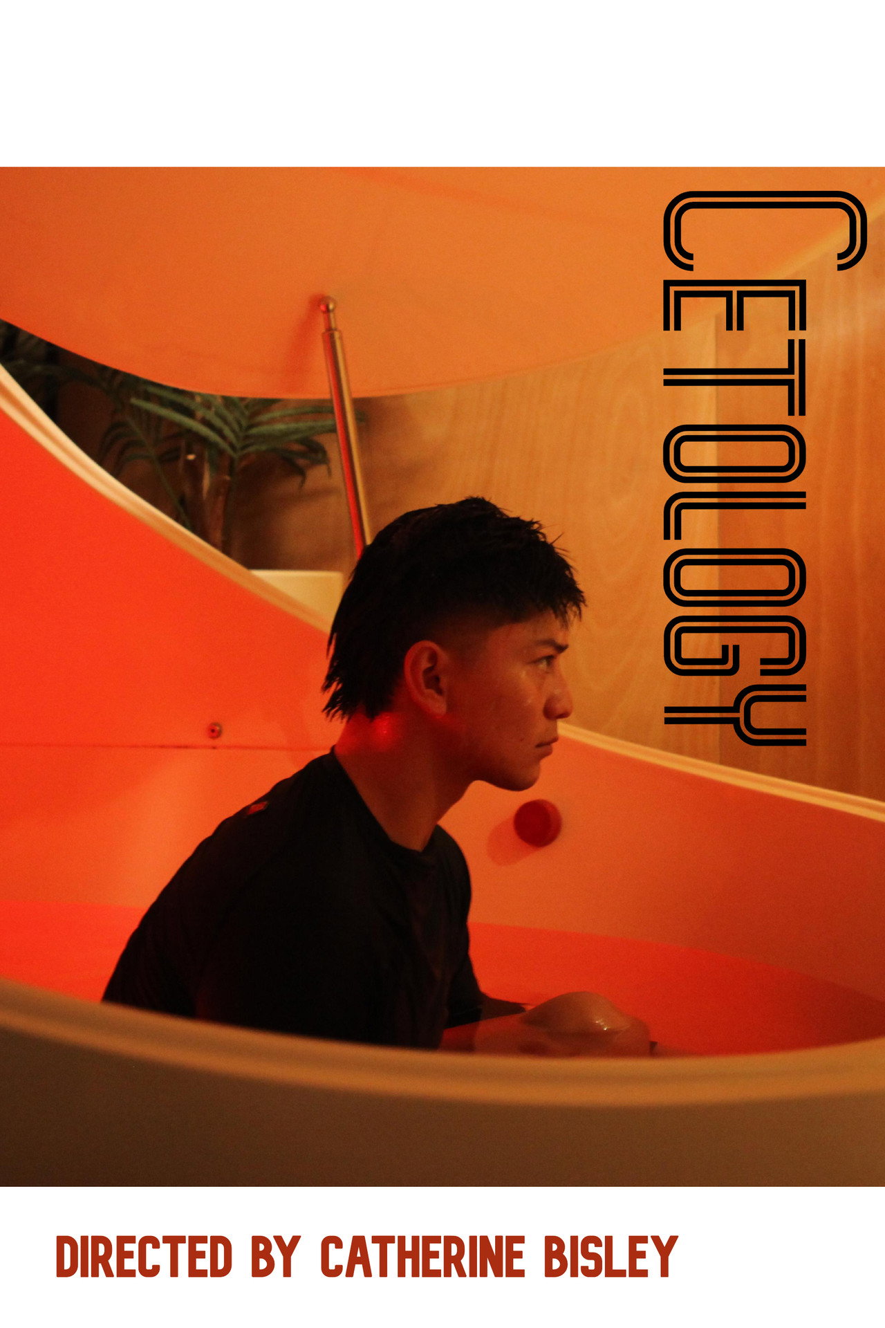 Cetology Backdrop