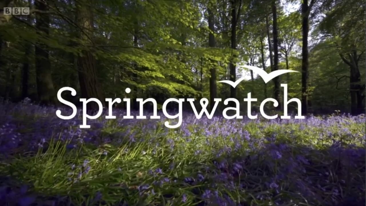 Springwatch background