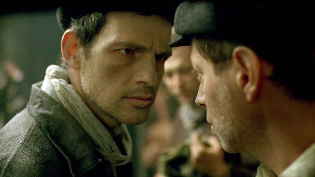 Son of Saul Backdrop Image