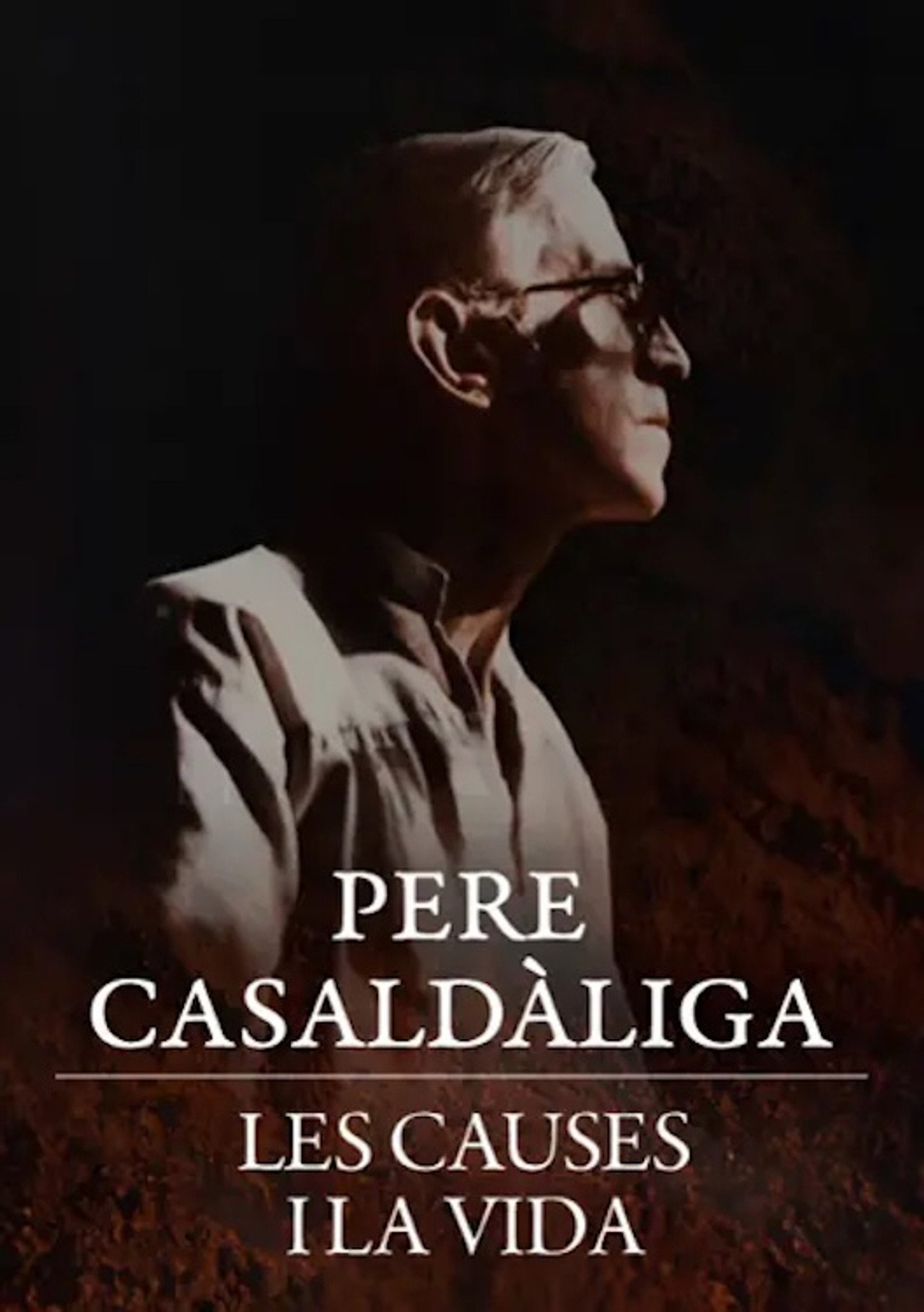 Pere Casaldàliga. Les causes i la vida filmaffisch