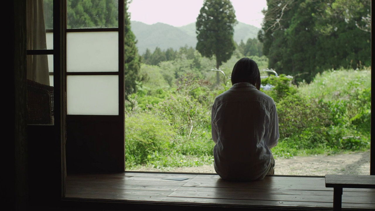 Little Forest: Winter/Spring backdrop