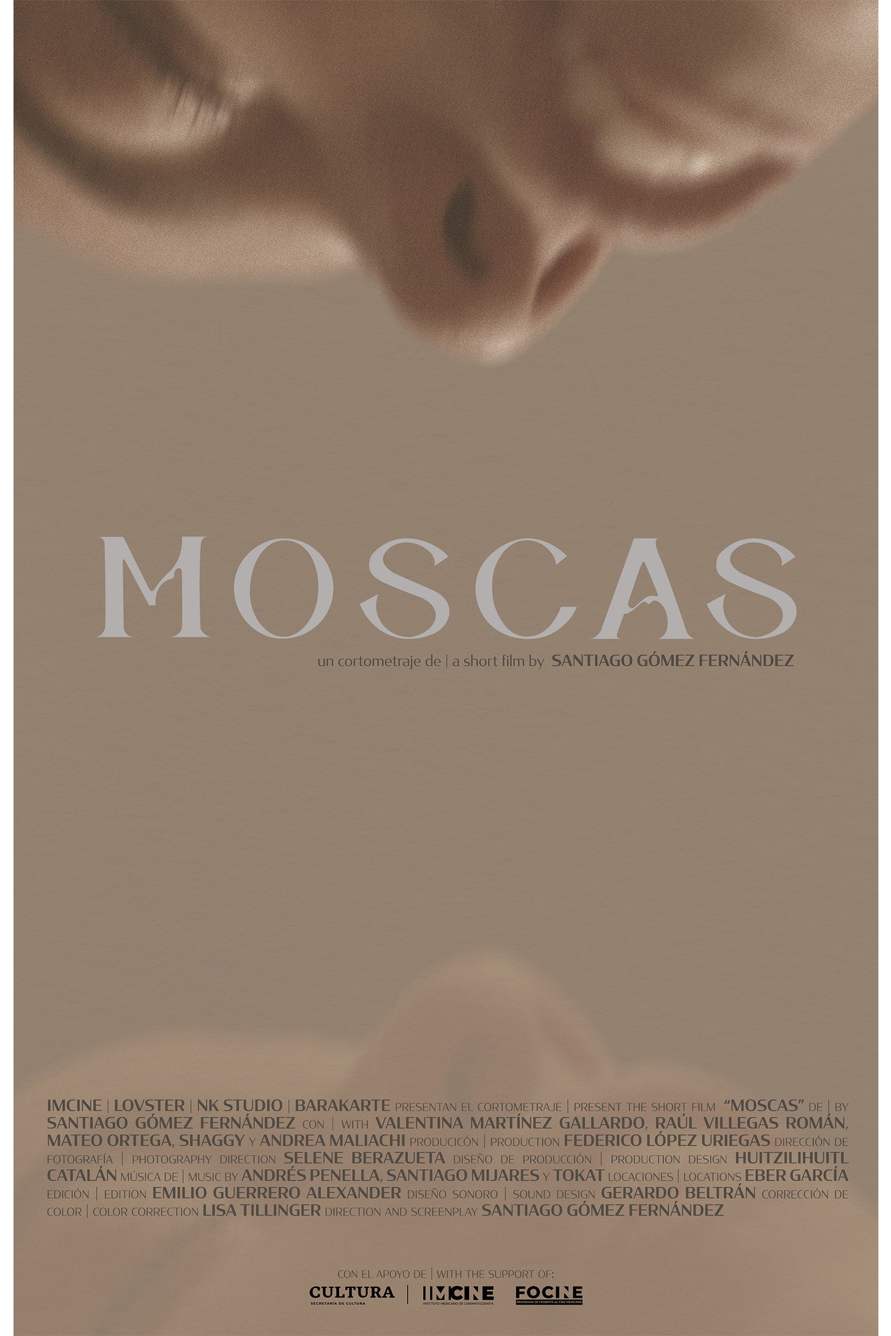 Moscas