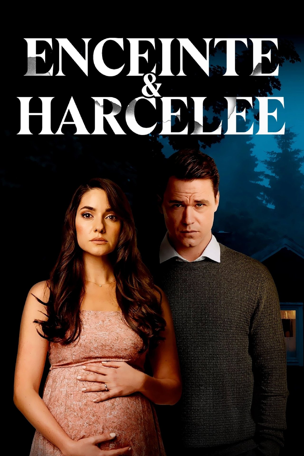 Enceinte et Harcelée poster