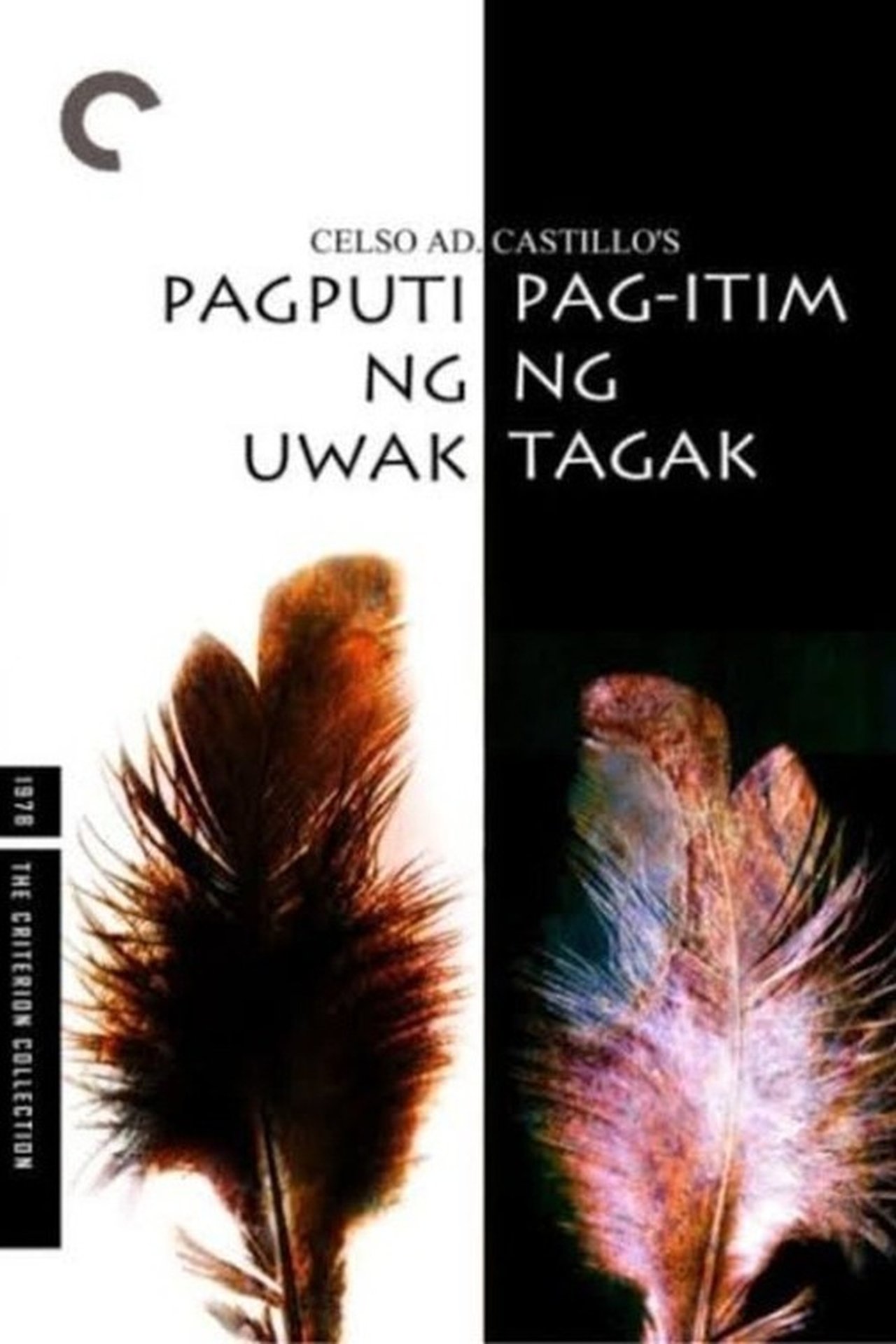 Pagputi ng Uwak... Pag-itim ng Tagak