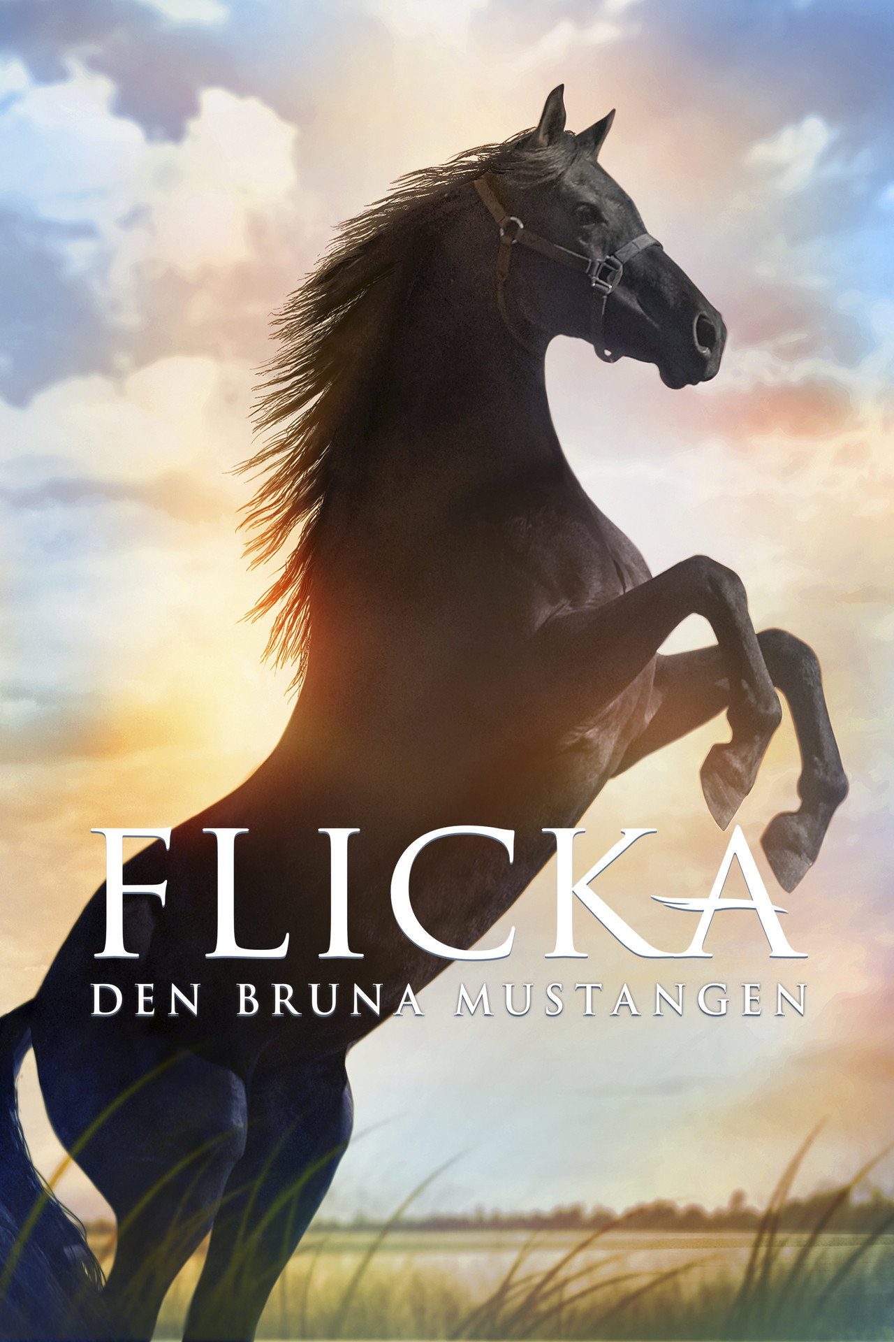 Flicka - Den bruna mustangen filmaffisch