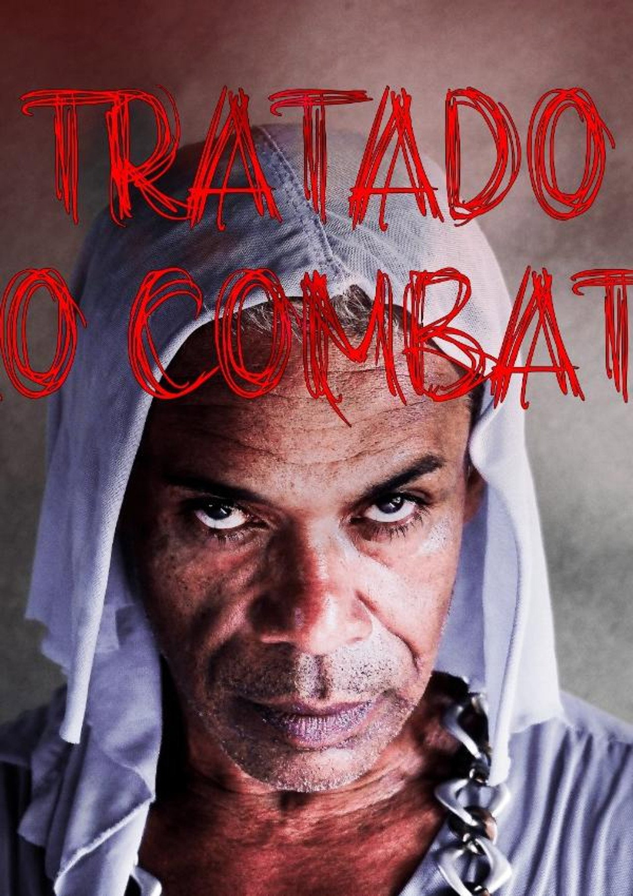 O Tratado do Vão Combate ou A Pequena História de uma Bixinha Qualquer filmaffisch