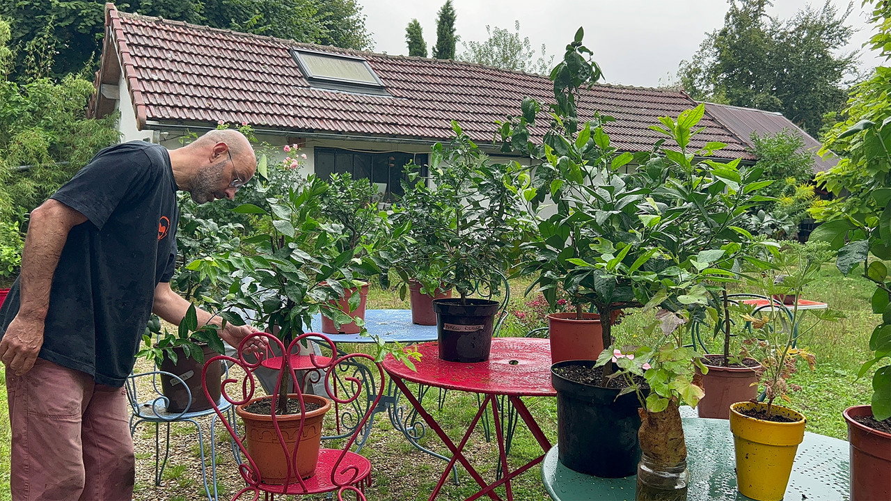 Backdrop for Etienne's Garden