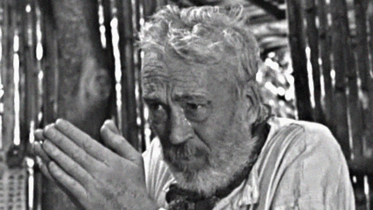 The Bridge in the Jungle (1971)