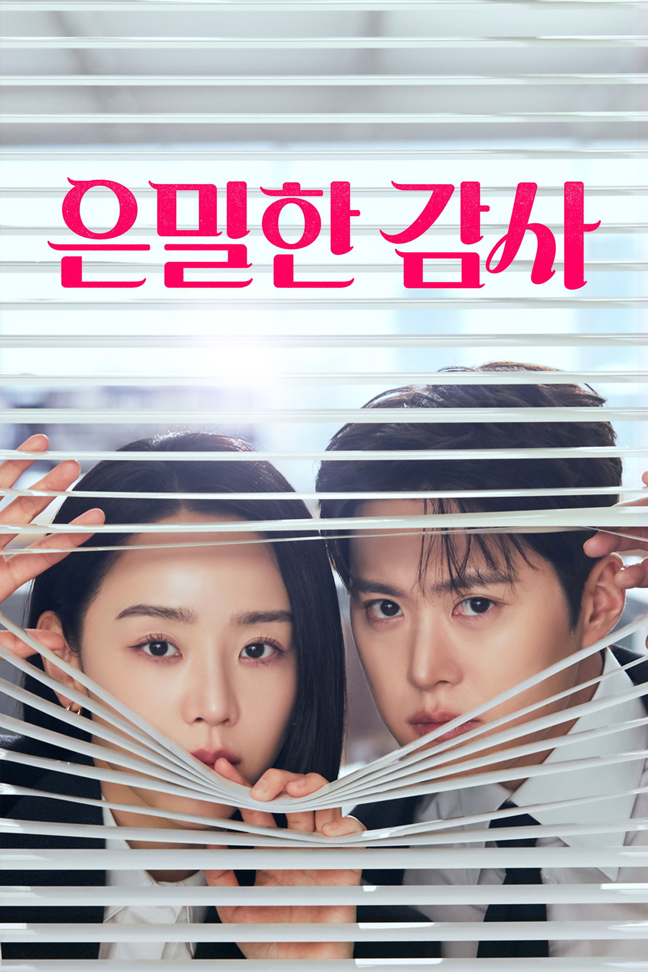 은밀한 감사 affisch