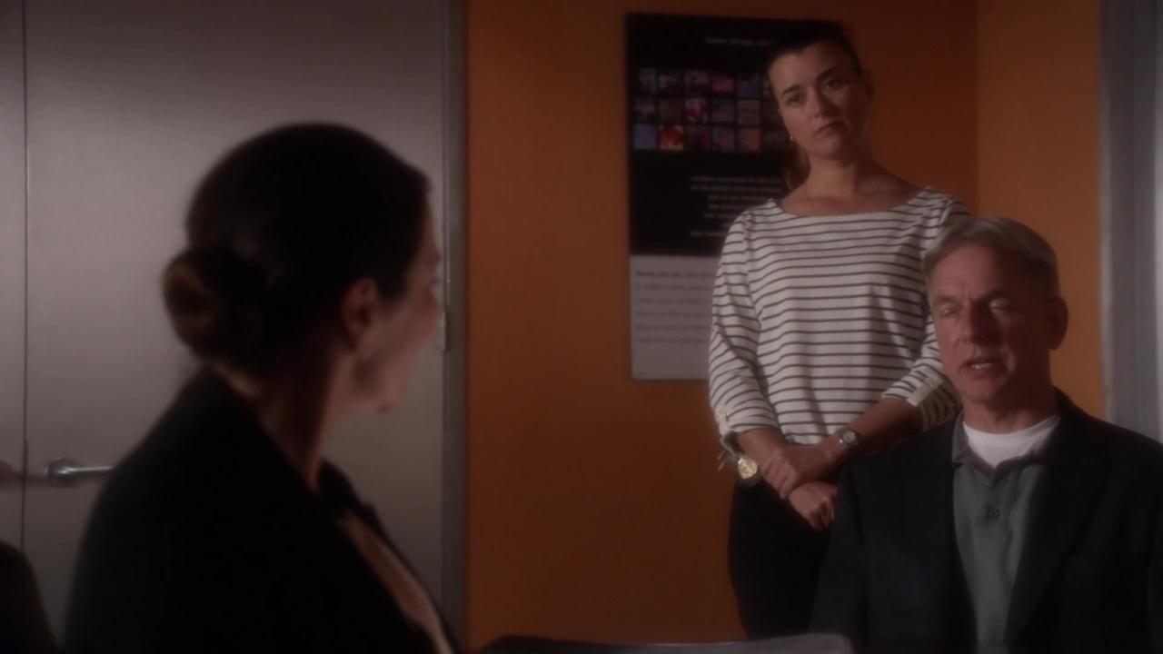 NCIS - Season 10 Episode 21 : Berlin