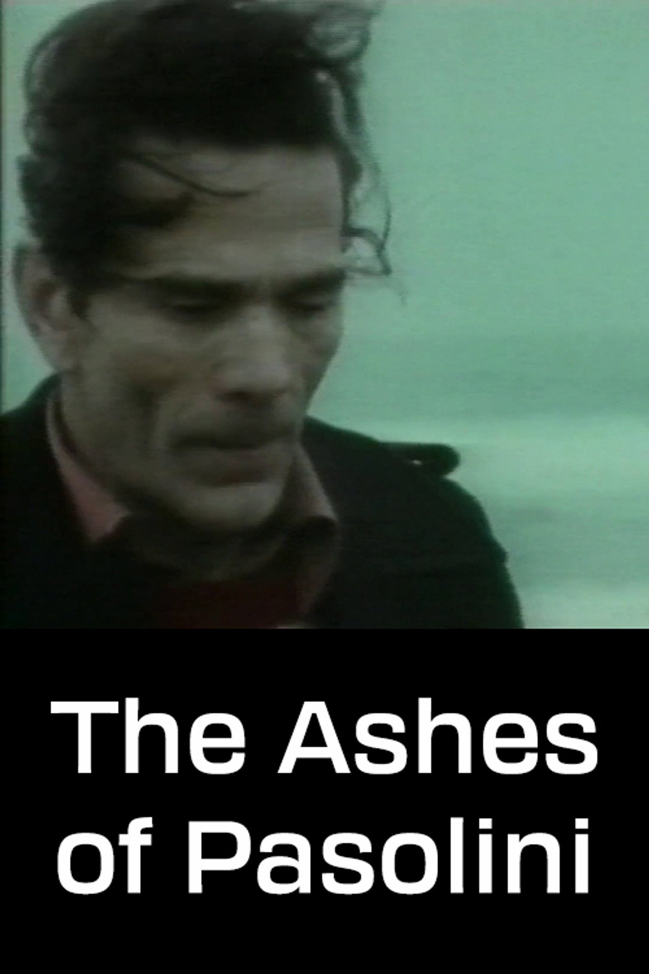 The Ashes of Pasolini Backdrop