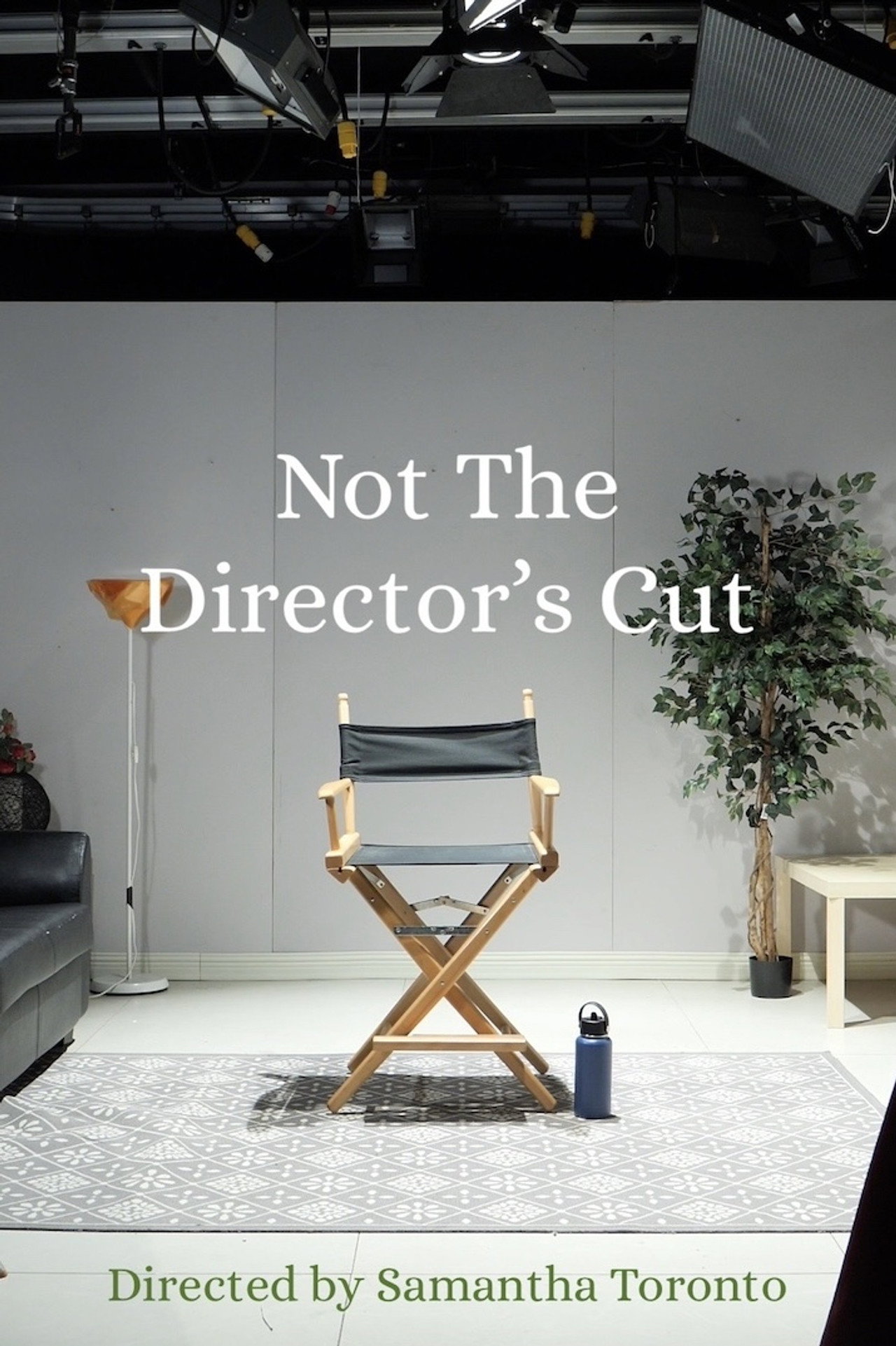 Not the Director's Cut filmaffisch