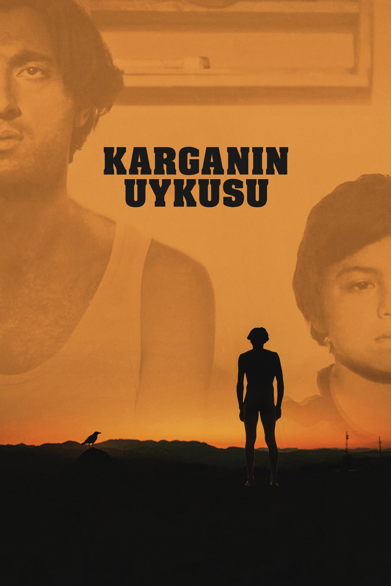 Karganın Uykusu filmaffisch