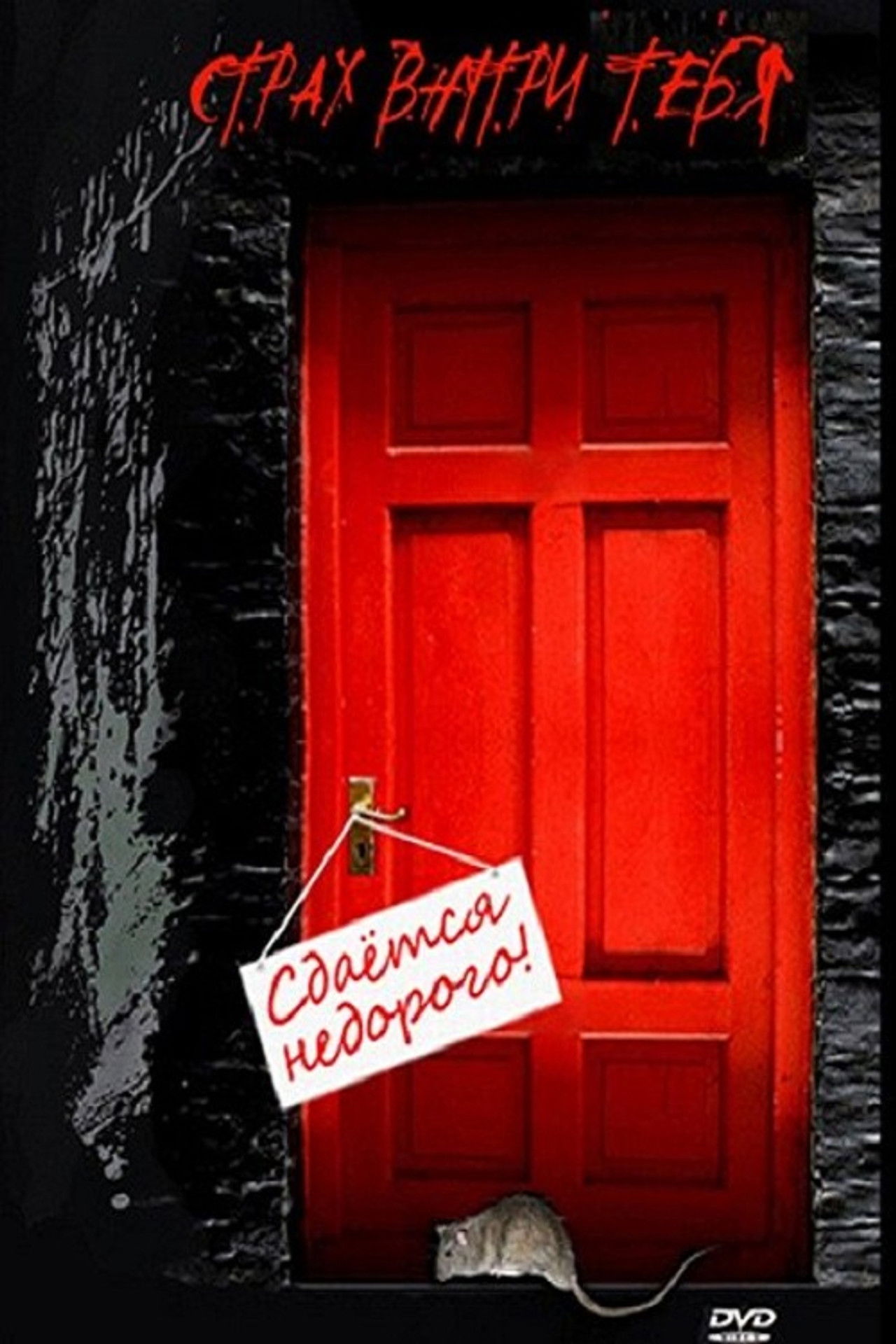 Сдается недорого Backdrop