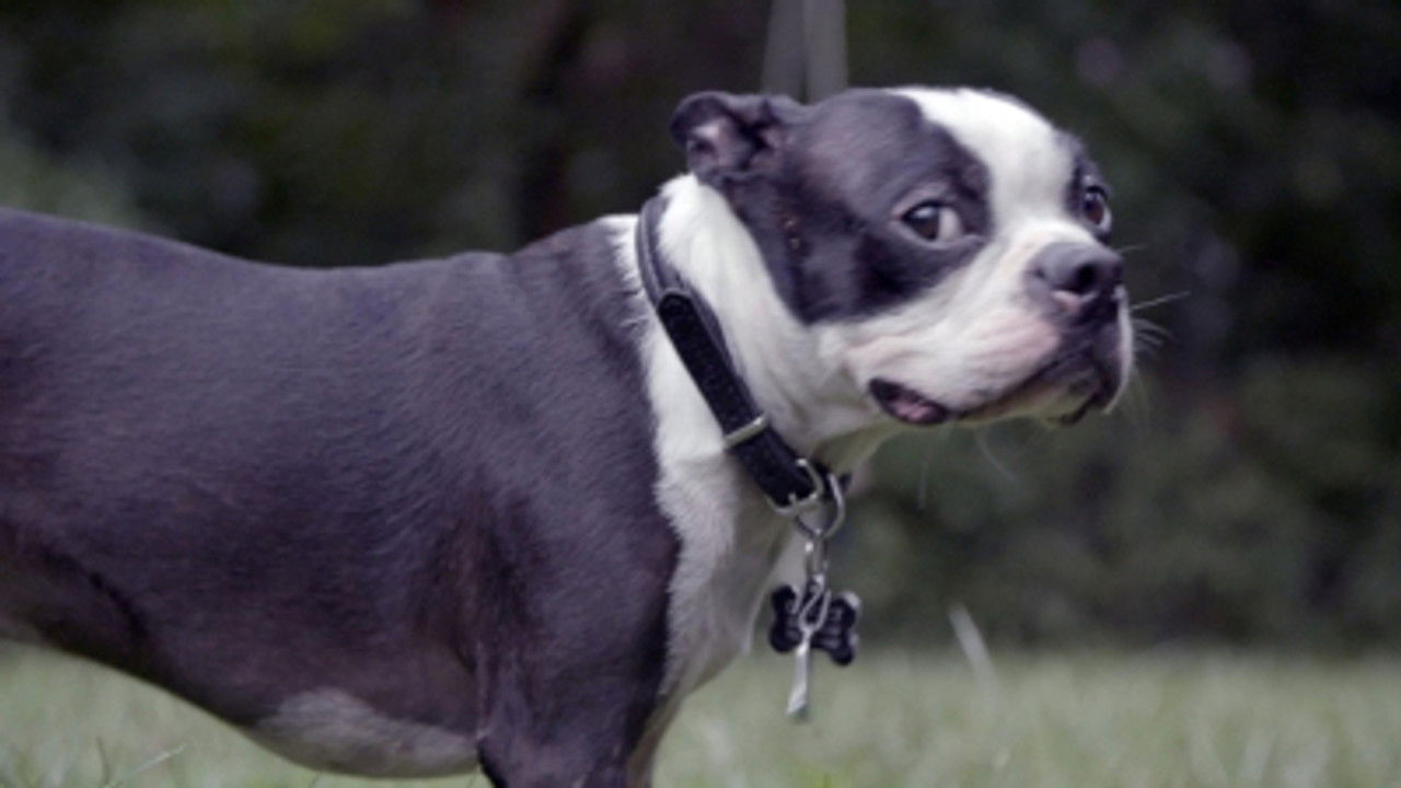 Trackers — Épisode 2