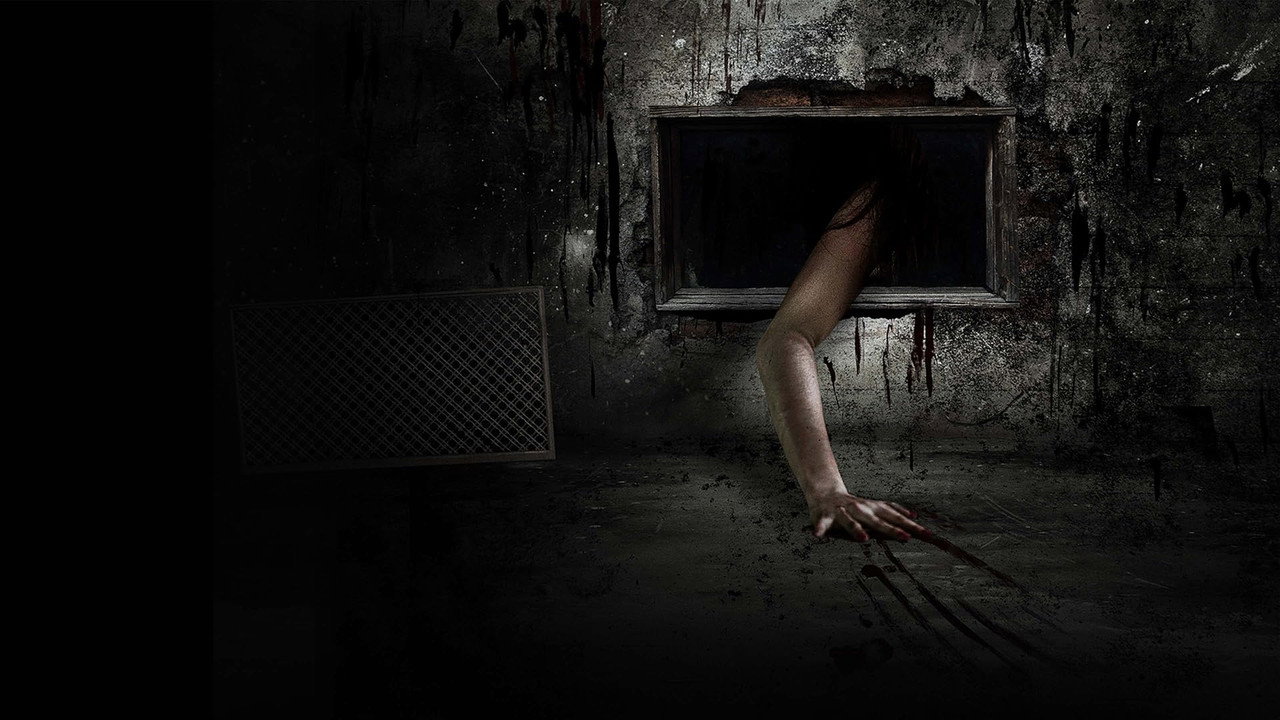 Fondo
