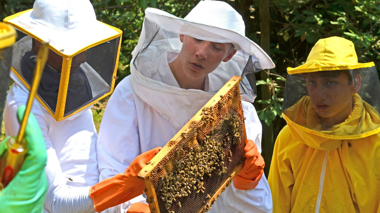 Die Jungs-WG - Season 4 Episode 4 : Episode 4