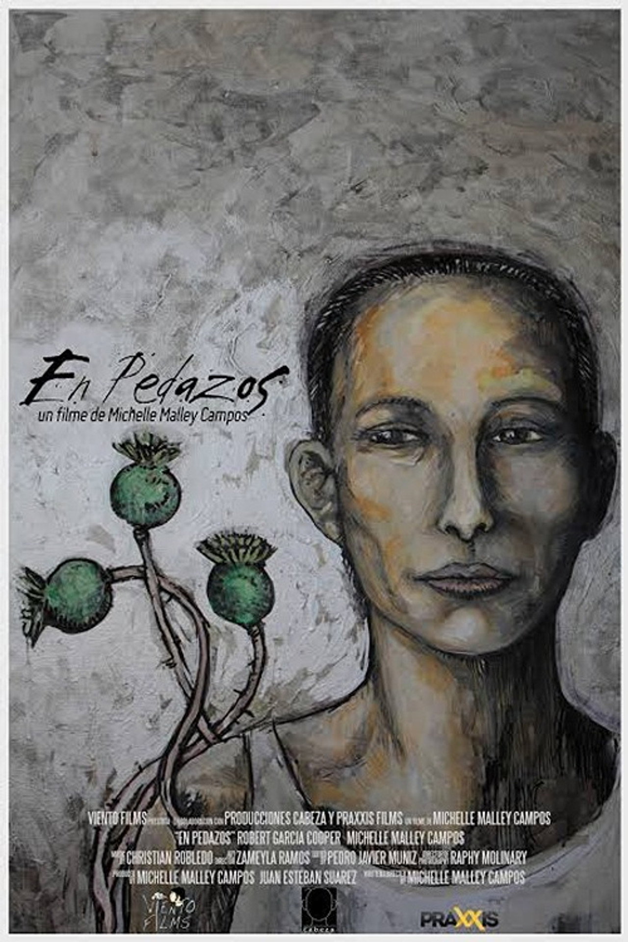En pedazos