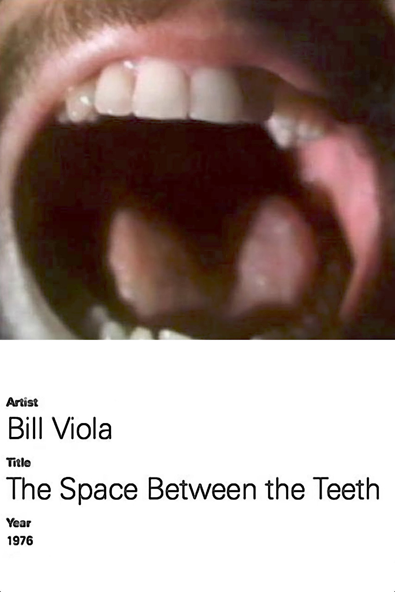 The Space Between the Teeth filmaffisch