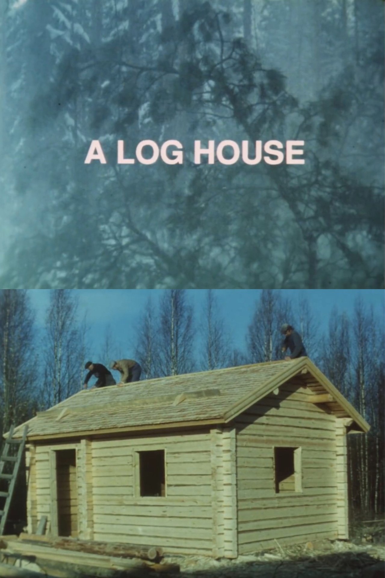 مشاهدة فيلم A Log House مترجم بدون اعلانات - بوستر