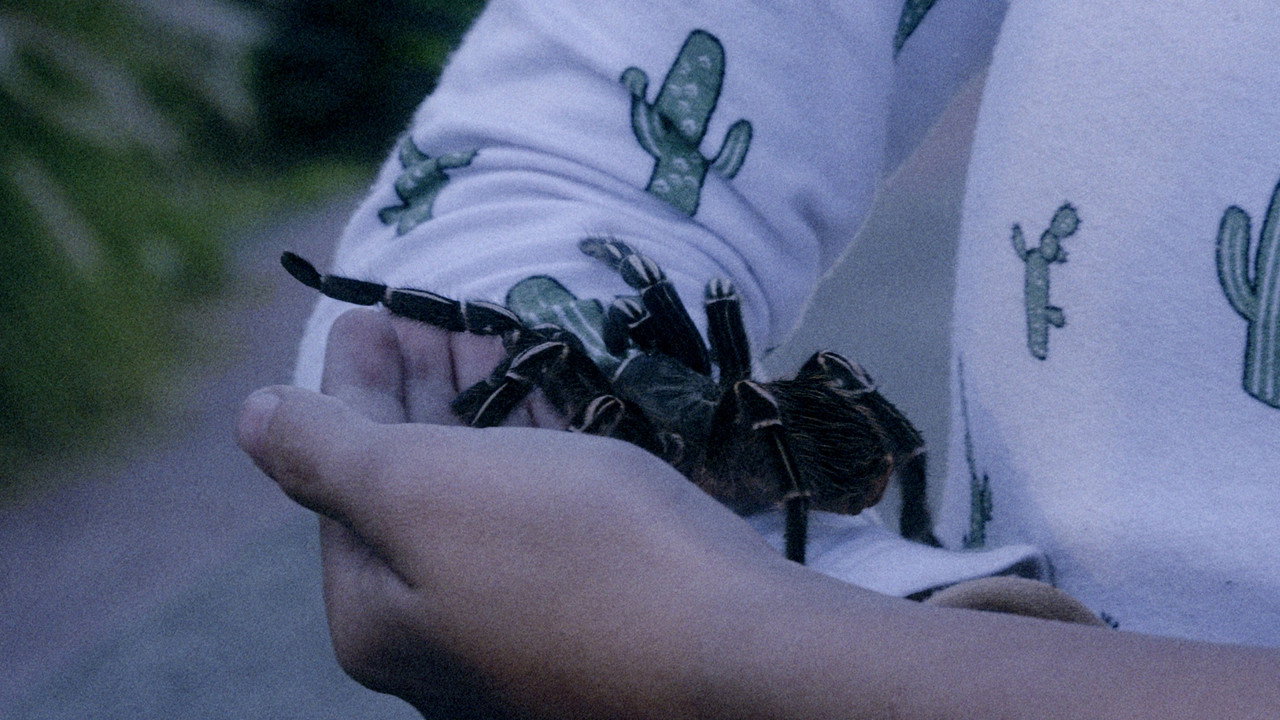 Somos animales still 12