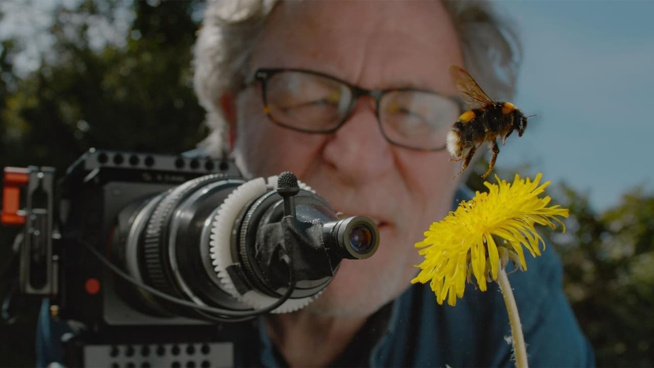 Nature - Season 40 Episode 1 : My Garden of a Thousand Bees