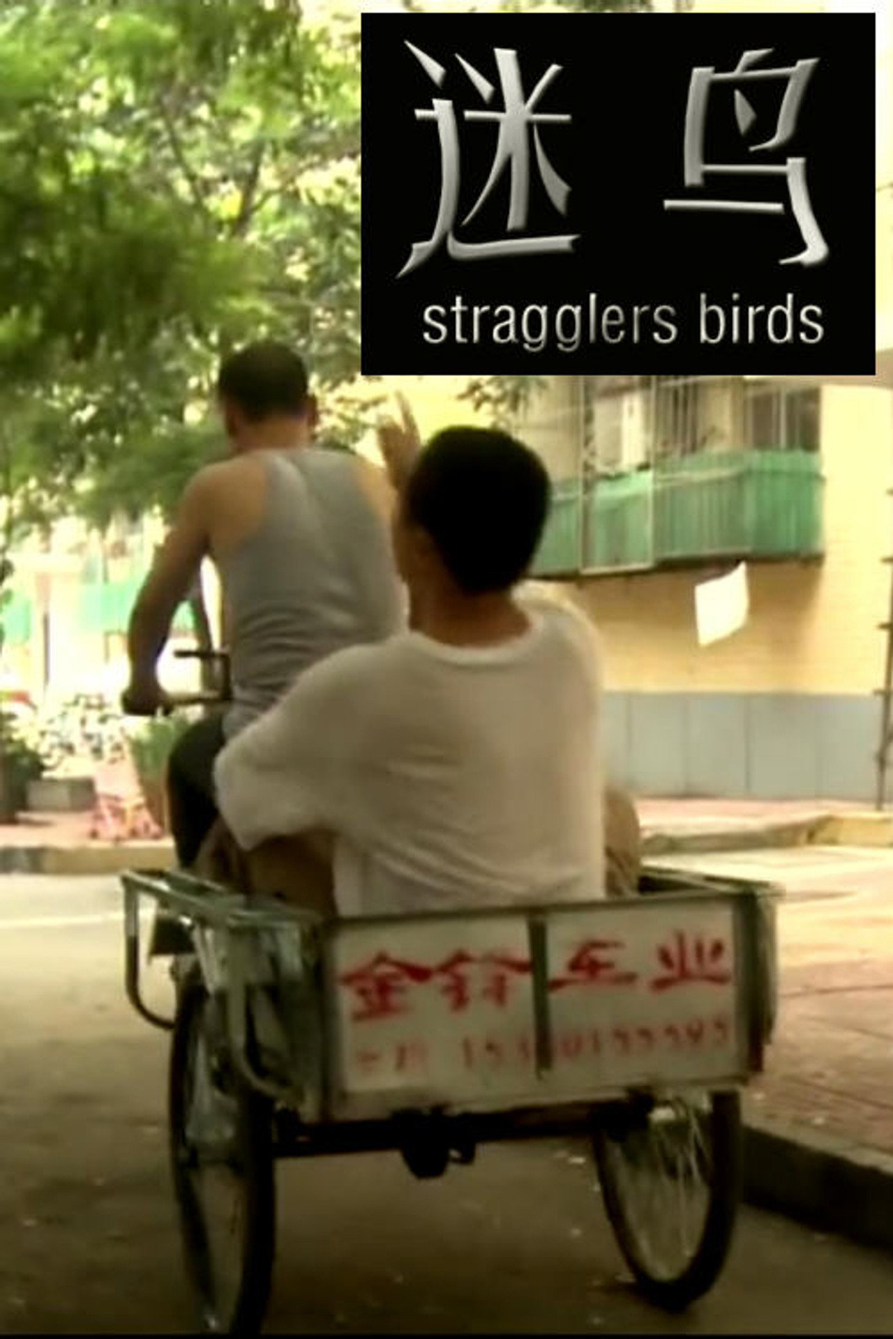 迷鸟 filmaffisch